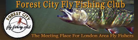forest city fly shop